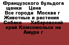 Французского бульдога щенки  › Цена ­ 35 000 - Все города, Москва г. Животные и растения » Собаки   . Хабаровский край,Комсомольск-на-Амуре г.